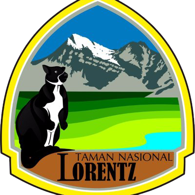 TN Lorentz